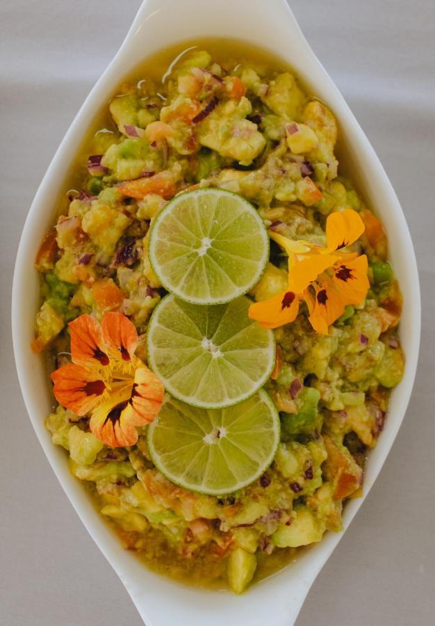 Hotel Vegano Bona Espero Alto Paraíso de Goiás Exteriér fotografie